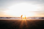 Family standing silhouetted in the sunset